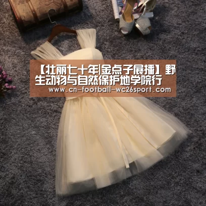 【壮丽七十年|金点子展播】野生动物与自然保护地学院行政教辅党支部开展“天涯寻友、大爱鹤魂、美丽中国”主题系列活动【世界杯买球】(图1) 世界杯买球